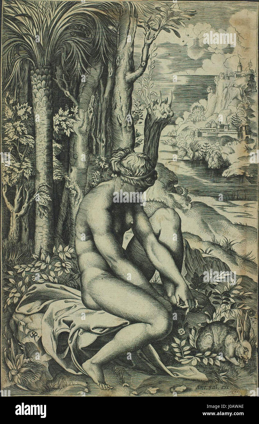 La 'Vênus ferida por um espinho de roseira' de Marco Dente (Vénus blessée par une épine de rosier) illustre la figure mythologique Vénus, qui est représentée dans un moment intime et vulnérable, blessée par une épine. Ce travail souligne à la fois la beauté et la fragilité de la déesse, caractéristique de la compétence de Dente à rendre l’émotion et le détail anatomique. Banque D'Images