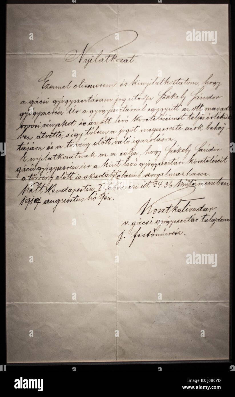 L'écriture manuscrite de Csontvár met en valeur le scénario personnel d'un individu, offrant un aperçu de son style d'écriture, de sa personnalité et de son contexte historique. Elle peut être liée à une époque ou à un mouvement culturel particulier. Banque D'Images