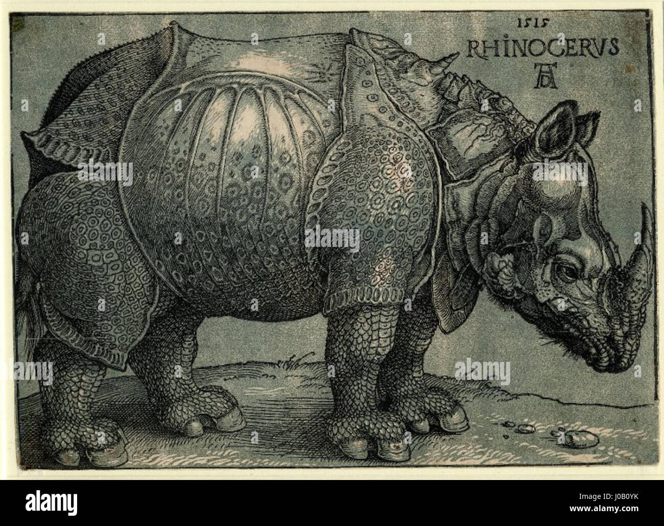 Albrecht Dürer (Janssen chiaroscuro woodcut ) - Rhinoceros - BM 1913,1015.110 Banque D'Images