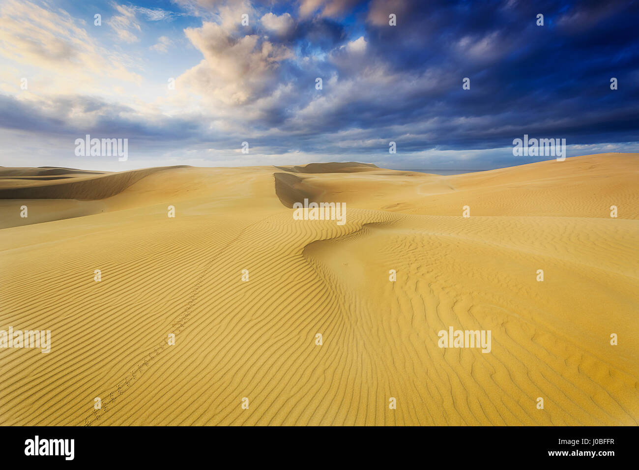 Les dunes de sable du désert vide à rayures jaune sous la surface des terres ciel nuageux pendant une tempête. Legprints de wild animal ou oiseau croise le chemin. Banque D'Images