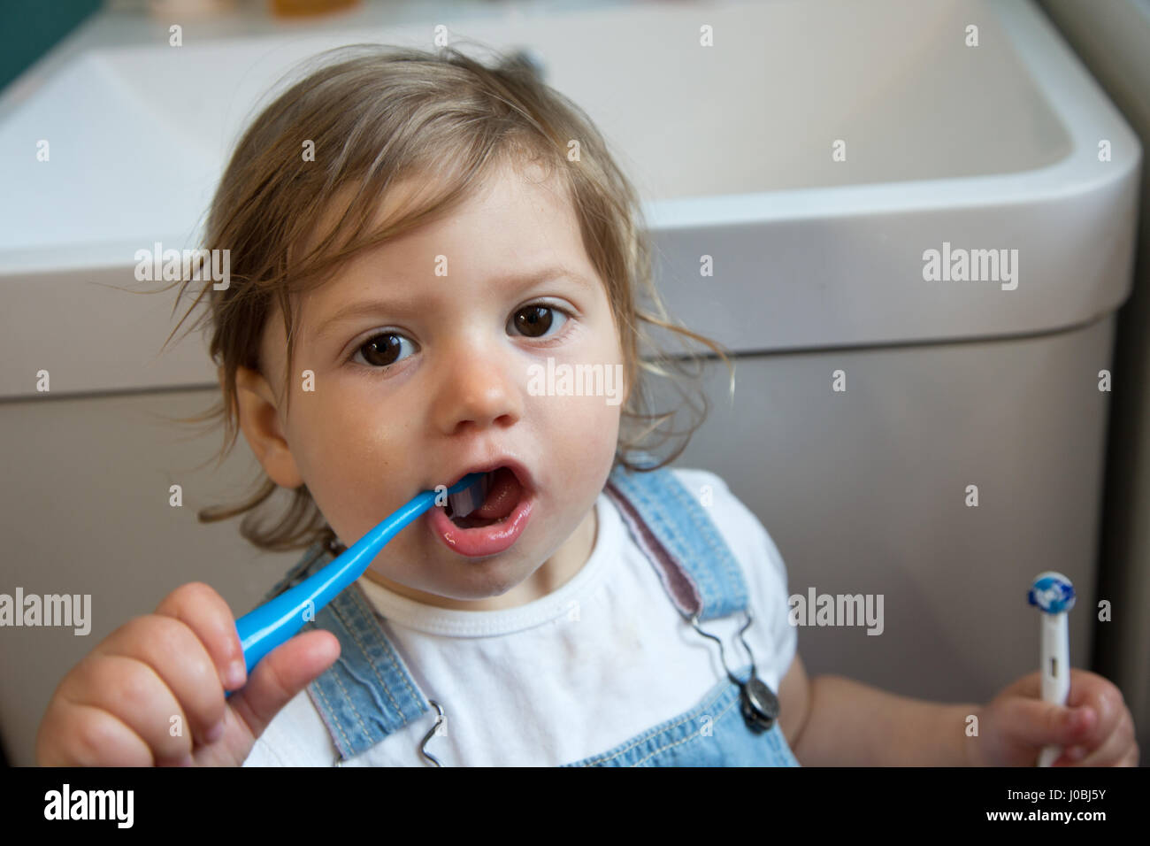 Tout-petit fille se brosser les dents à l'aide d'une brosse à dents pour  enfants, adultes et de tenir une brosse à dents électrique dans son autre  main. Elle est de 16 mois