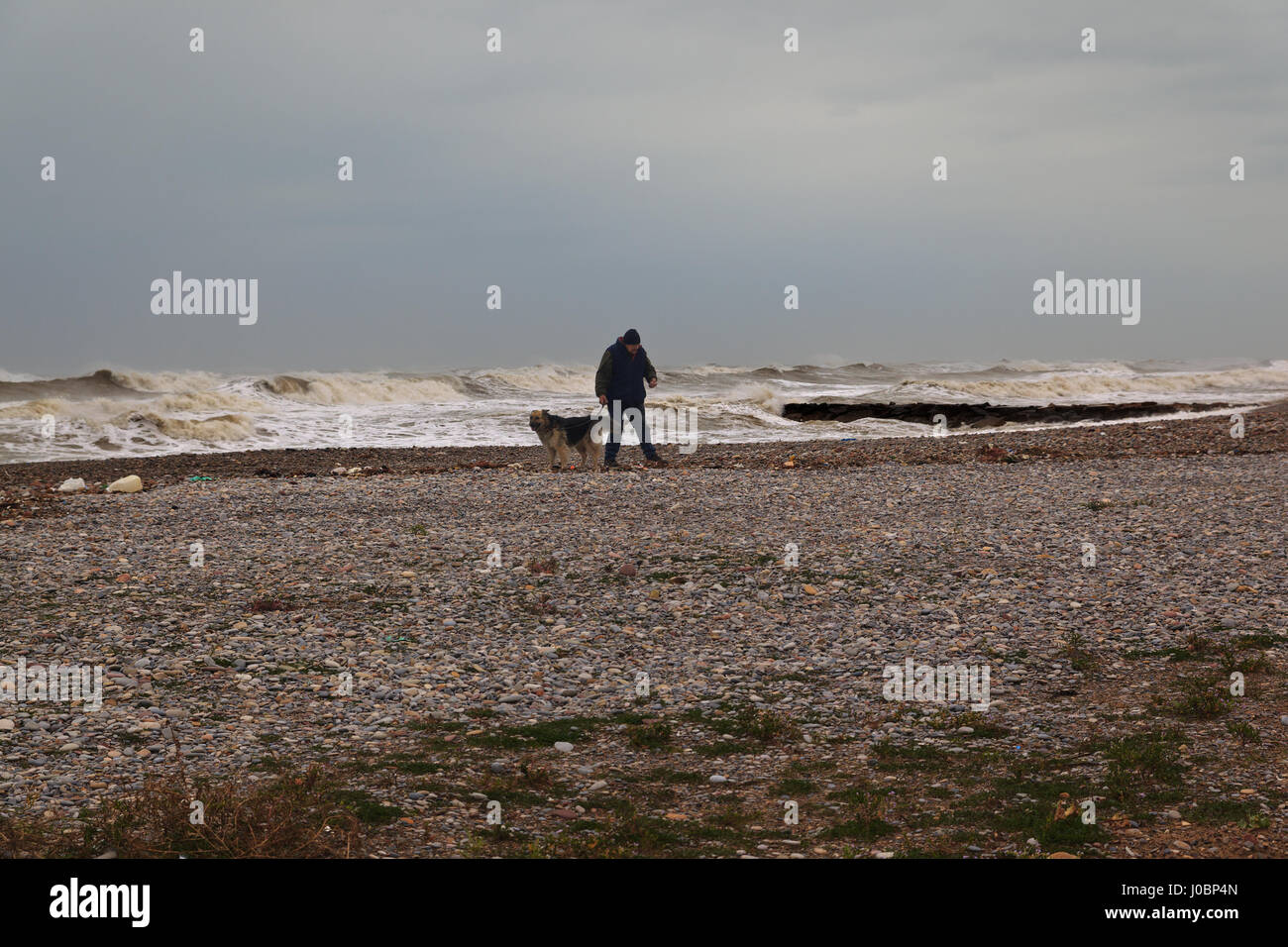 De chiens sur la plage durant les tempêtes en Moncofa Espagne 2017 Banque D'Images