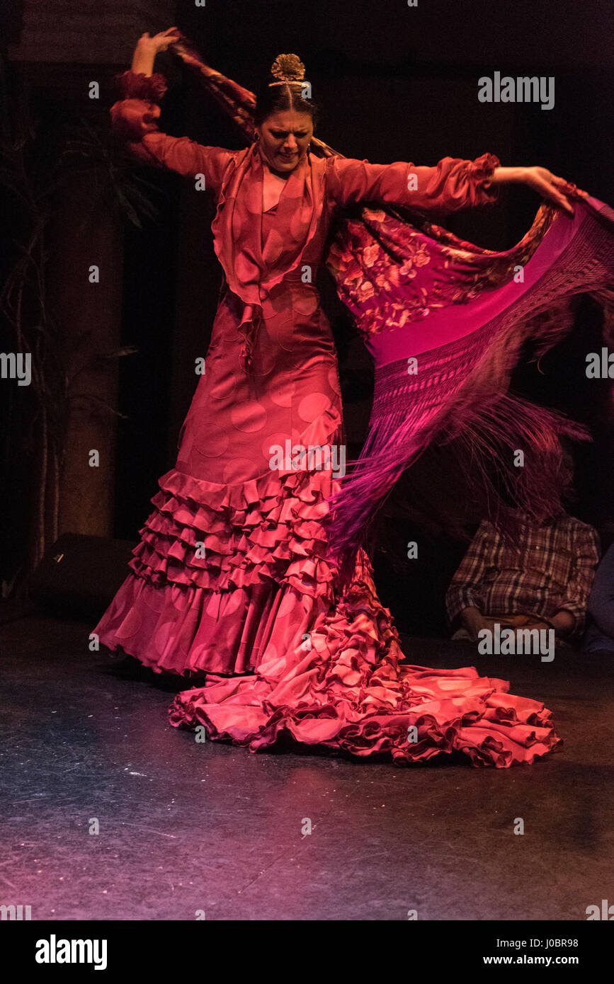 Un spectacle nocturne de Flamenco a eu lieu au Museo del Baile Flamenco dans la vieille ville de Séville, en Espagne. Le Museo del Baile Flamenco offre aux visiteurs Banque D'Images