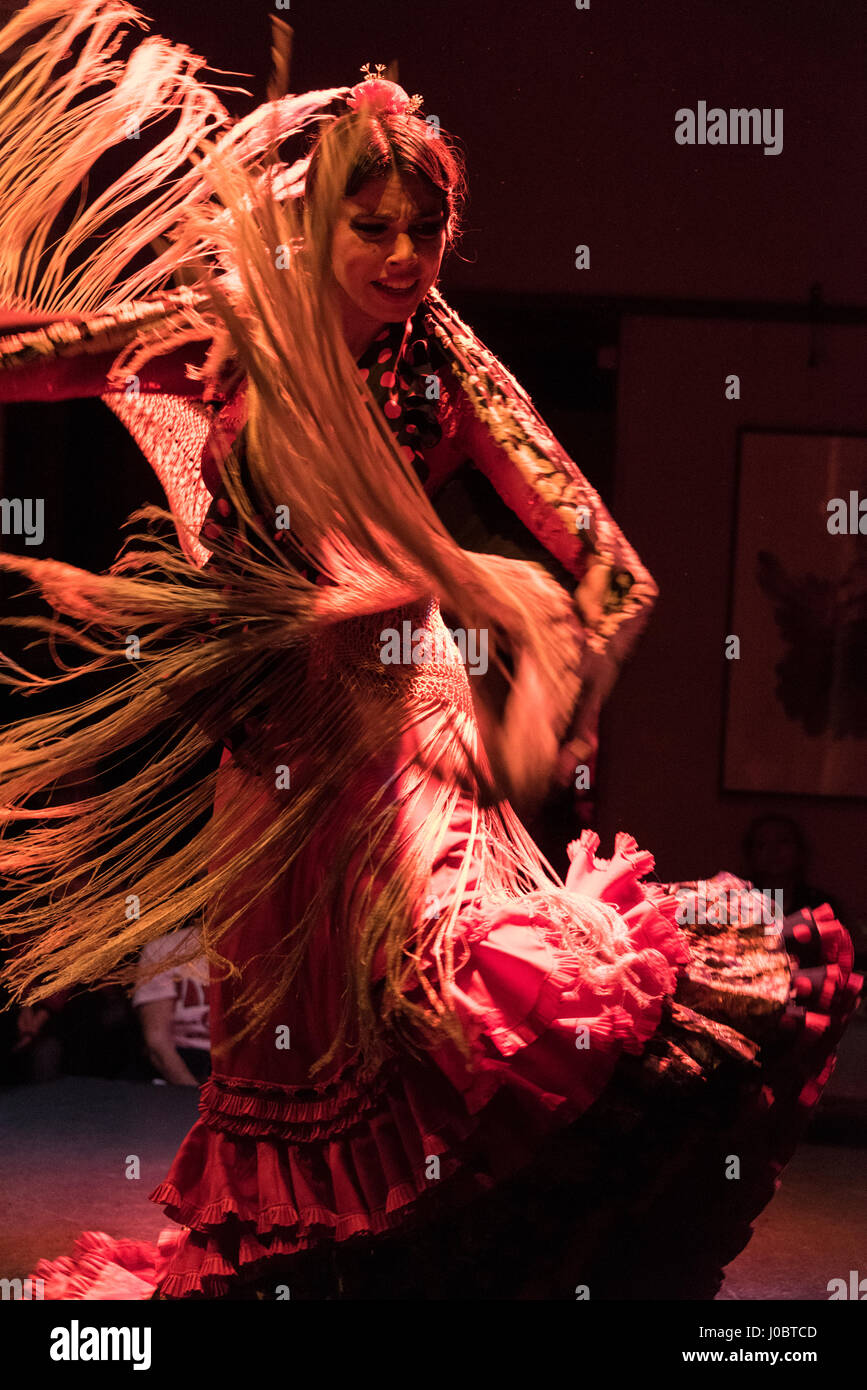 Un spectacle nocturne de Flamenco a eu lieu au Museo del Baile Flamenco dans la vieille ville de Séville, en Espagne. Le Museo del Baile Flamenco offre aux visiteurs Banque D'Images