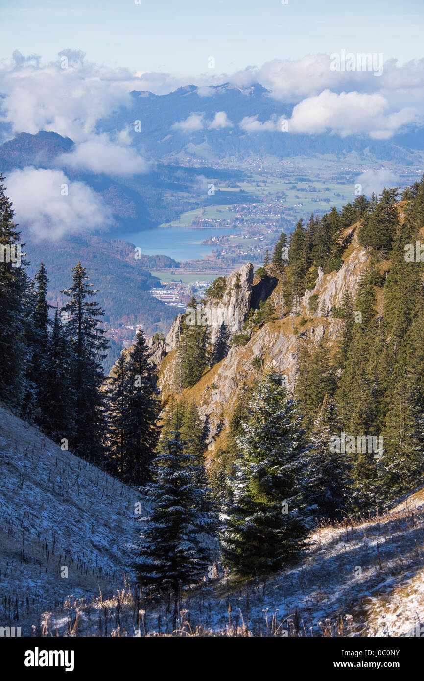 Le givre sur les arbres dans les bois de la Alpes Ammergau, Tegelberg, Fussen, Bavière, Allemagne Banque D'Images