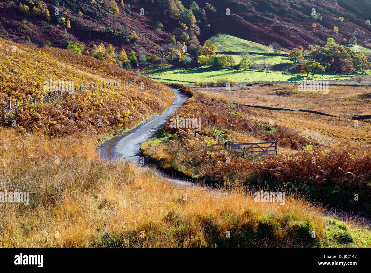 Une vue d'automne d'un gate et route sinueuse à travers les collines, la vallée de Langdale, Parc National de Lake District, Cumbria, England, UK Banque D'Images