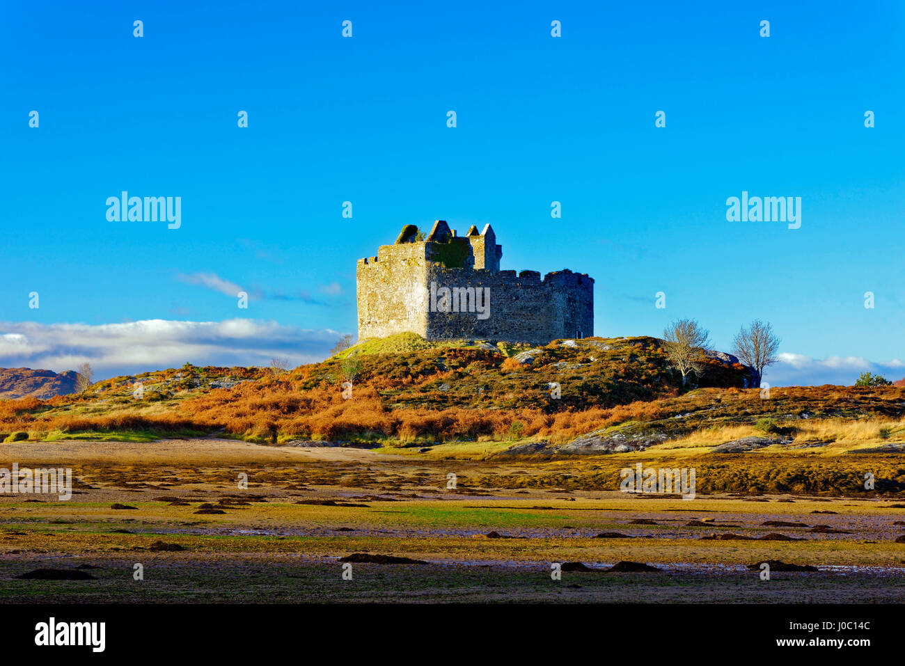 Château de Tioram sur l'île Eilean Tioram à marée basse sur un matin d'hiver ensoleillé, Highlands, Scotland, UK Banque D'Images