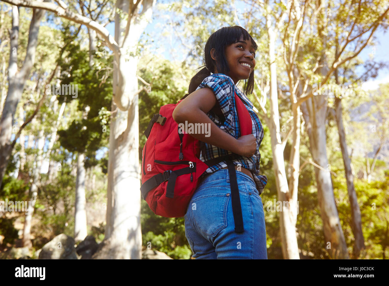 Jeune femme de la randonnée à travers la forêt, à la recherche sur l'épaule, souriant, Cape Town, Afrique du Sud Banque D'Images