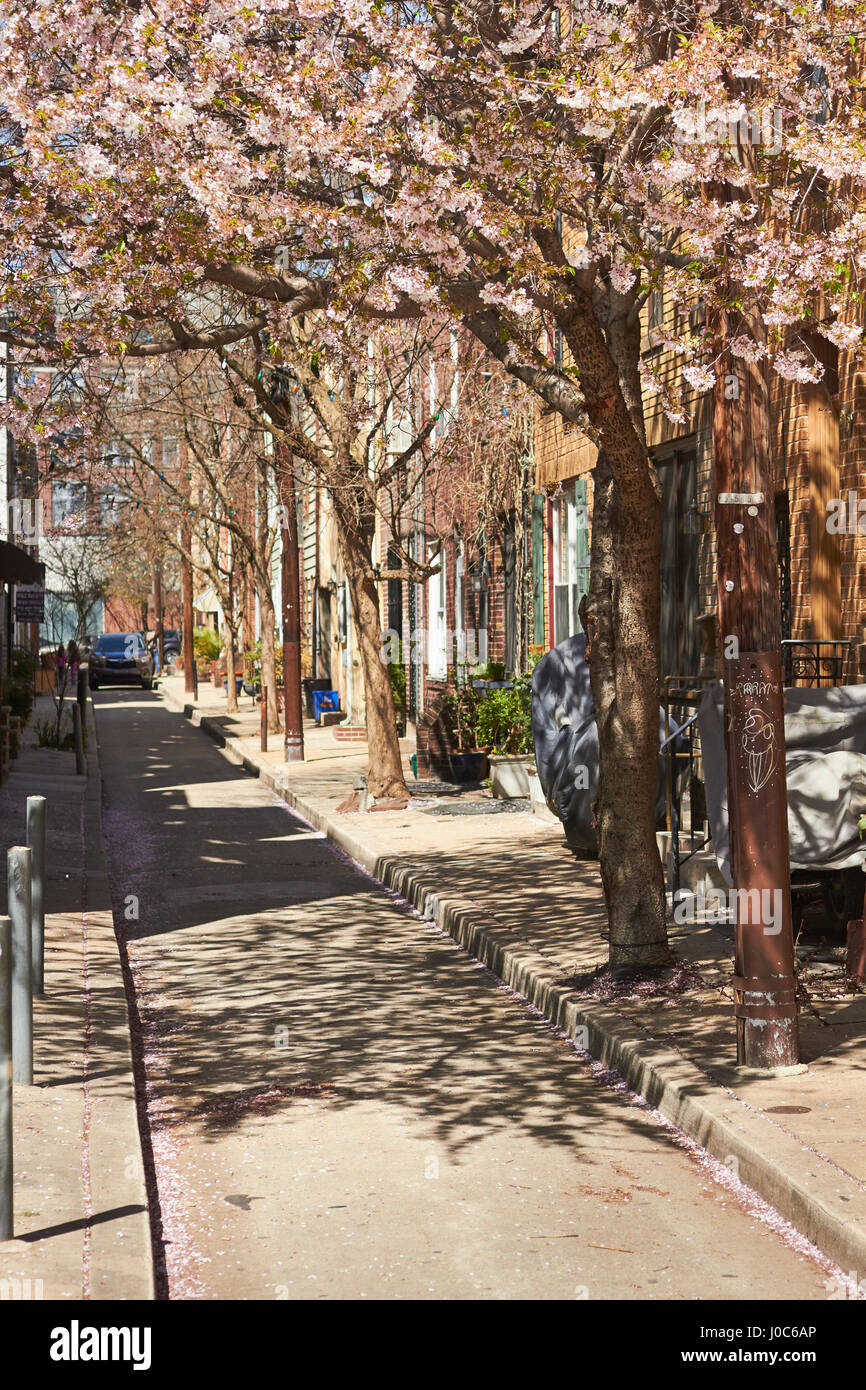 Les maisons en rangée, de la Ligue, rue du marché italien, District de Philadelphie, Pennsylvanie, USA Banque D'Images