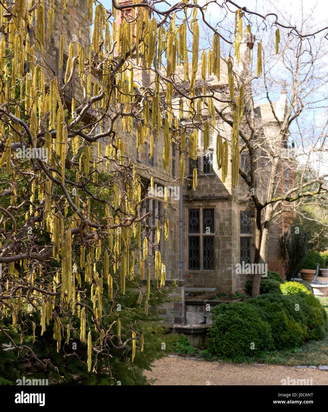 Virginia House Museum et jardins Richmond Virginia USA Banque D'Images