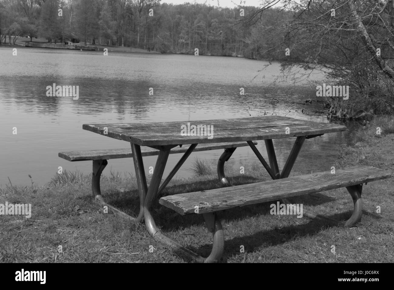 La nature dans le parc Banque D'Images