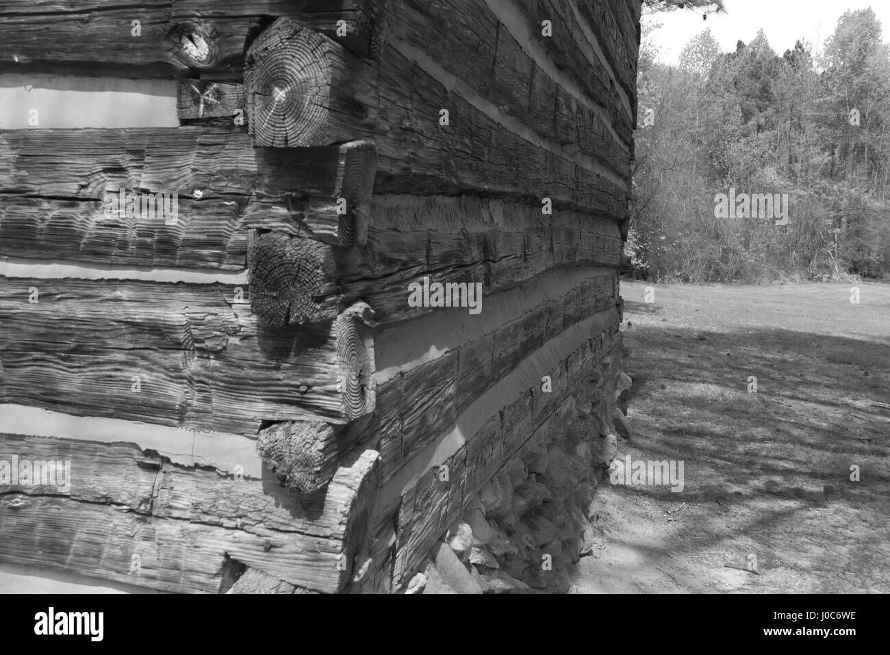 En se promenant dans un parc local Banque D'Images