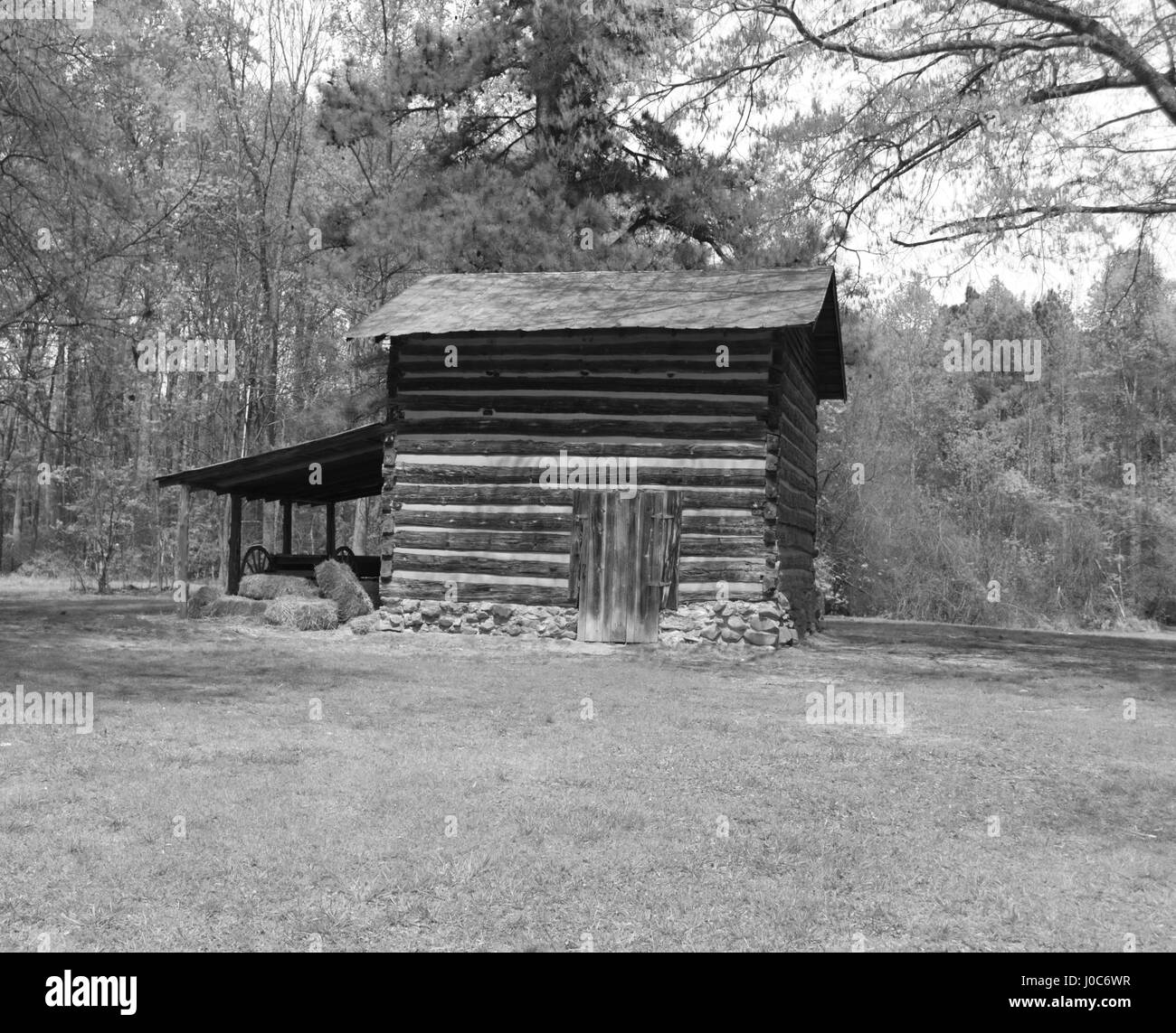 En se promenant dans un parc local Banque D'Images
