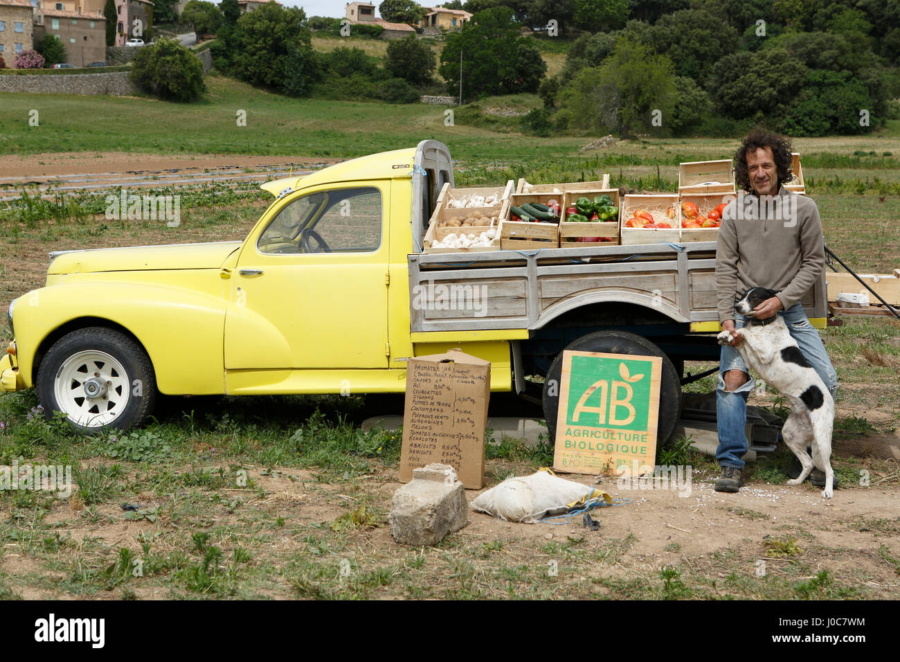 Les agriculteurs, les légumes vendus directement à partir du champ, Tourtour, Var, Provence-Alpes-Côte d'Azur, France Banque D'Images