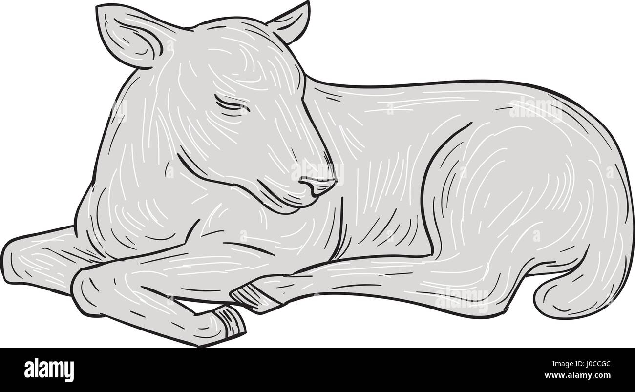 Croquis dessin illustration de style d'un ensemble de couchage agneau isolées sur fond blanc. Illustration de Vecteur