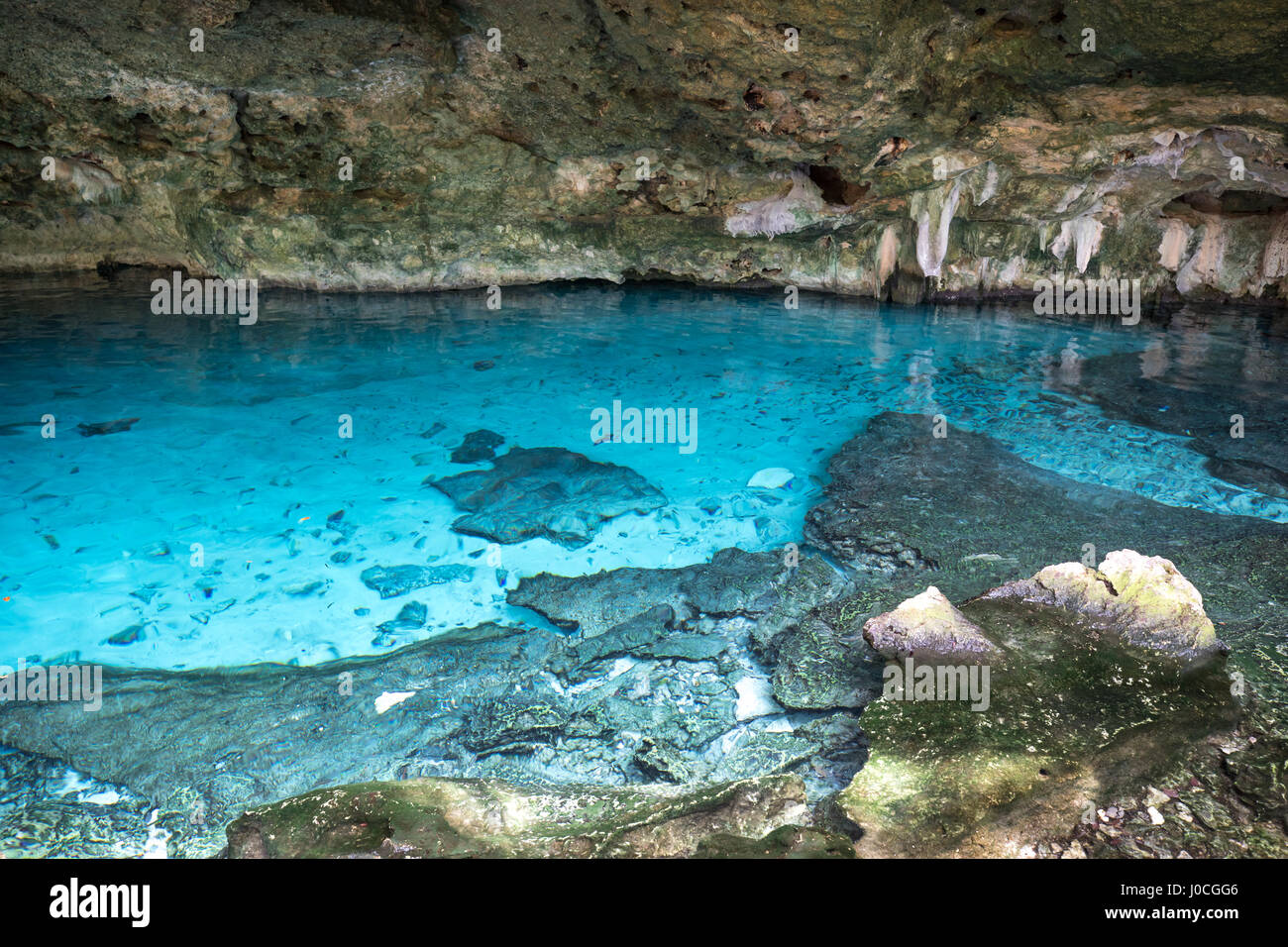 Cenote azul Banque de photographies et d'images à haute résolution - Alamy