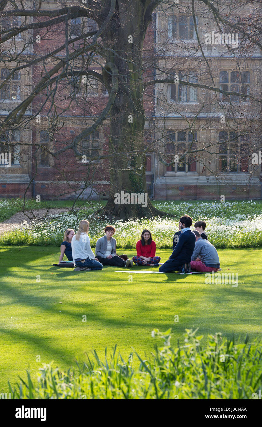 Les étudiants qui étudient à l'Université de Cambridge outsidein les jardins du Sidney Sussex College, Université de Cambridge, Cambridge UK Banque D'Images