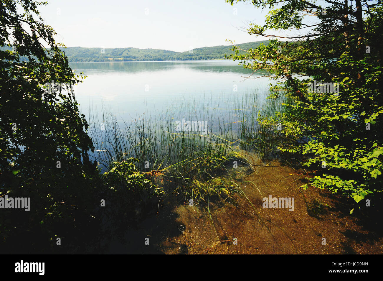 Afin de voir le lac Laacher avec ses arbres. Volcan encore actif de la région de l'Eifel (Allemagne) Banque D'Images