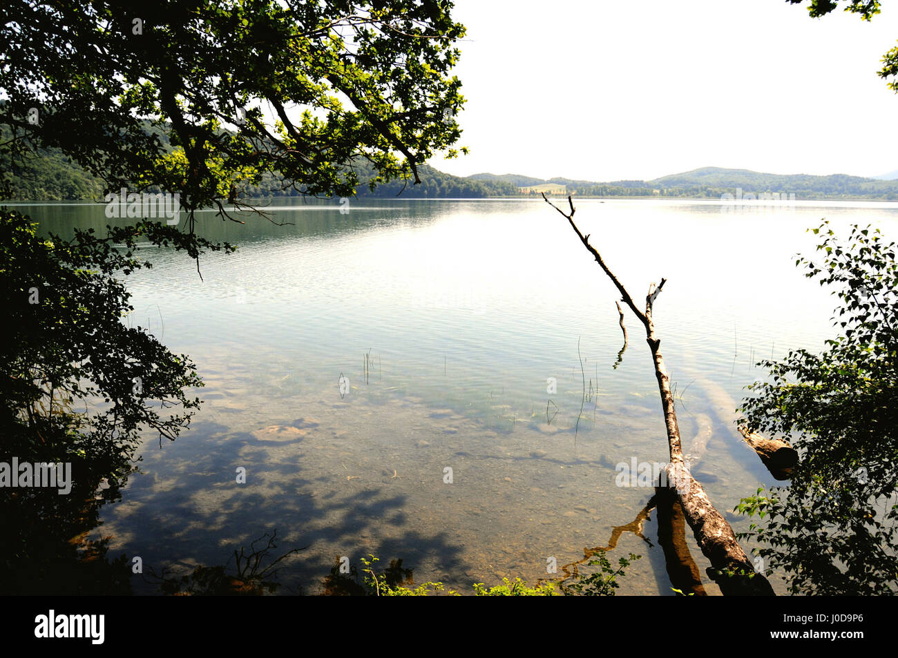 Afin de voir le lac Laacher avec ses arbres. Volcan encore actif de la région de l'Eifel (Allemagne) Banque D'Images