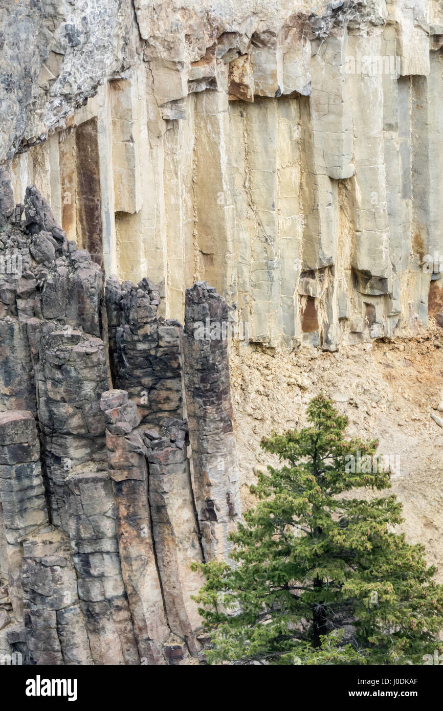 Les colonnes de roche dans le canyon au nord de Tower Fall dans le Parc National de Yellowstone, Wyoming, USA. Ils ont été formés par une coulée de lave basaltique qui en fissuré Banque D'Images