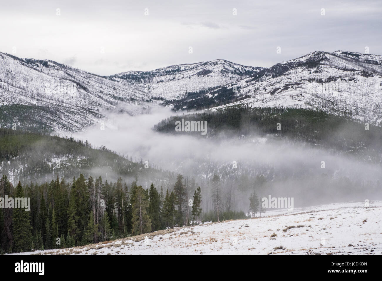 Le brouillard en automne montagnes neige-couvertes dans le Parc National de Yellowstone, Wyoming, USA Banque D'Images