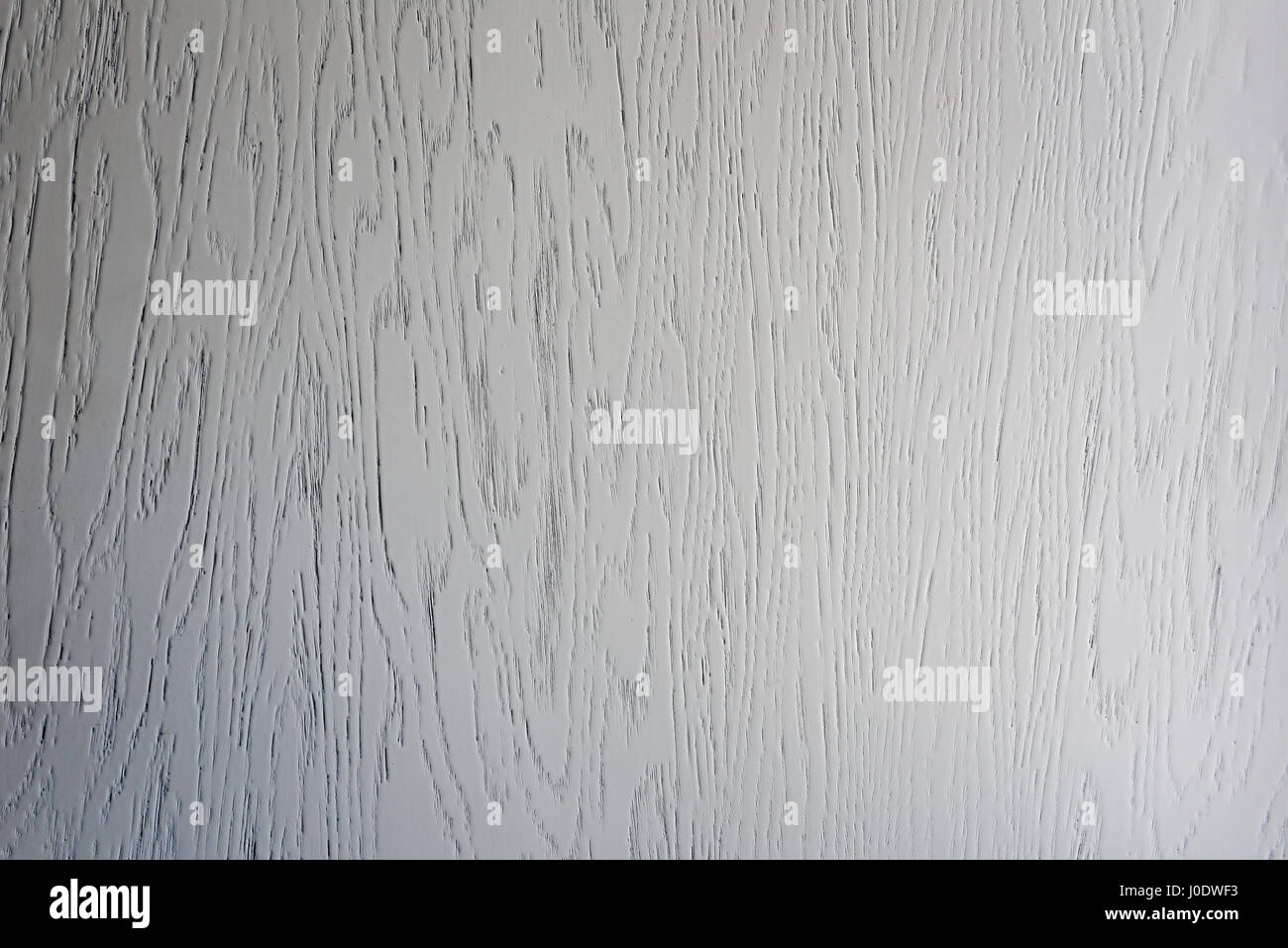 La texture du bois blanc close up Banque D'Images