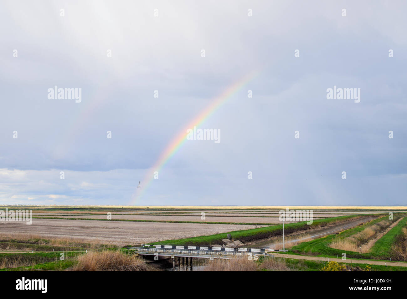 Arc-en-ciel, une vue sur le paysage dans le domaine. Formation de l'arc en ciel après la pluie. La réfraction de la lumière et de l'expansion en termes de spectres. Banque D'Images
