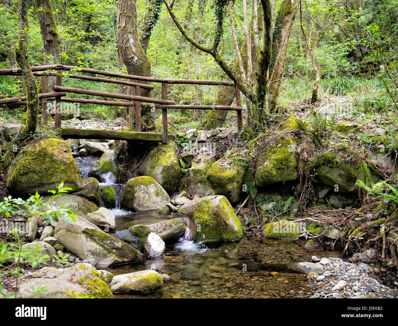 Printemps dans la Lunigiana. L'Italie. Le vieux pont. Banque D'Images