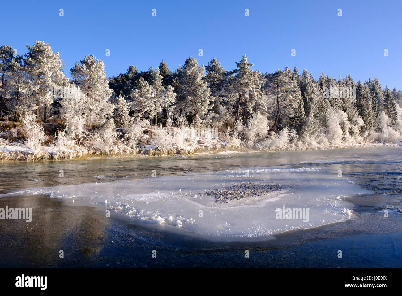 Icy river bank, l'Isar, réserve naturelle Isarauen, Geretsried, Haute-Bavière, Bavière, Allemagne Banque D'Images