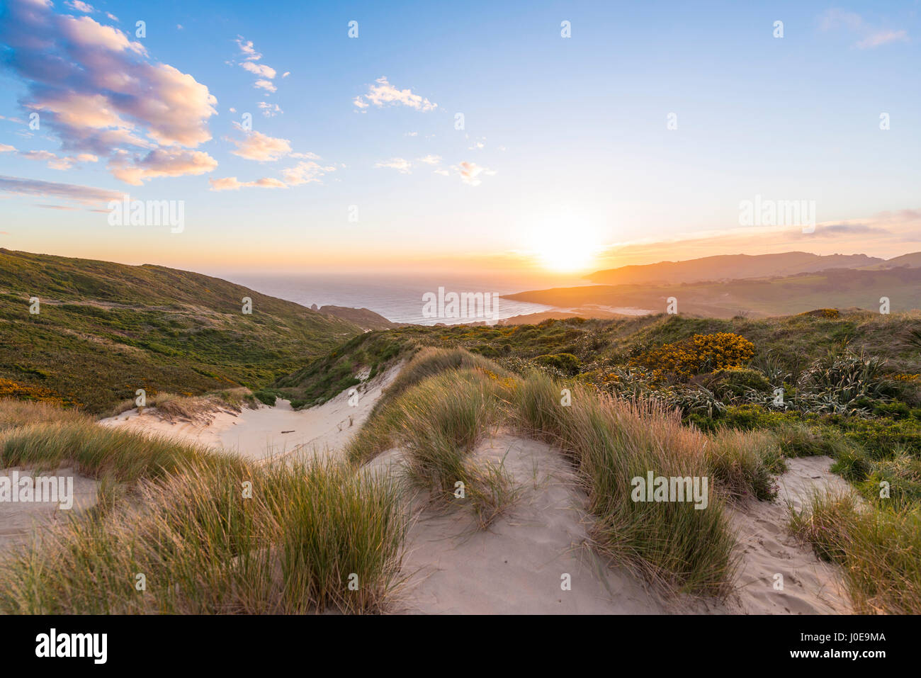 Coucher de soleil sur la mer, les dunes, la baie de phlébotome, Dunedin, Otago, péninsule d'Otago, Southland, Nouvelle-Zélande Banque D'Images
