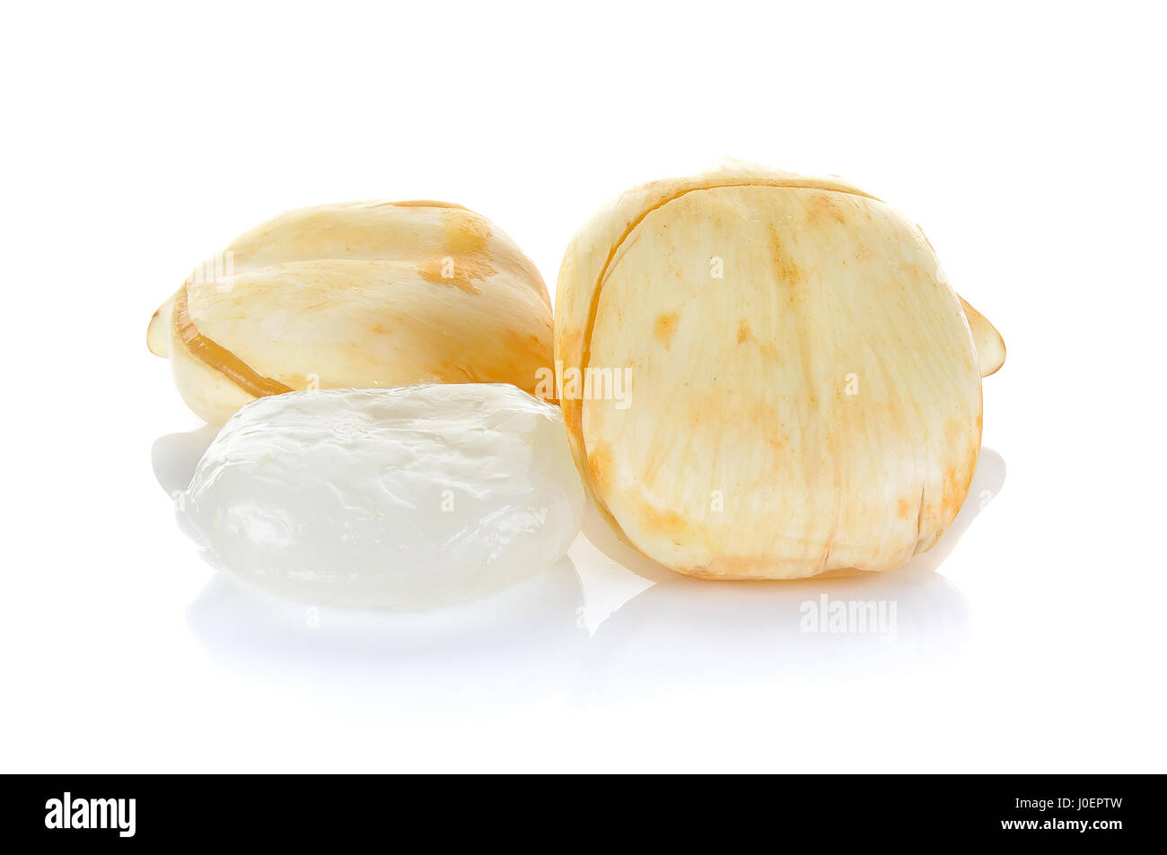 Palmyre asiatique Palm, Palm, Palm Sucre Toddy isolé sur fond blanc. Banque D'Images