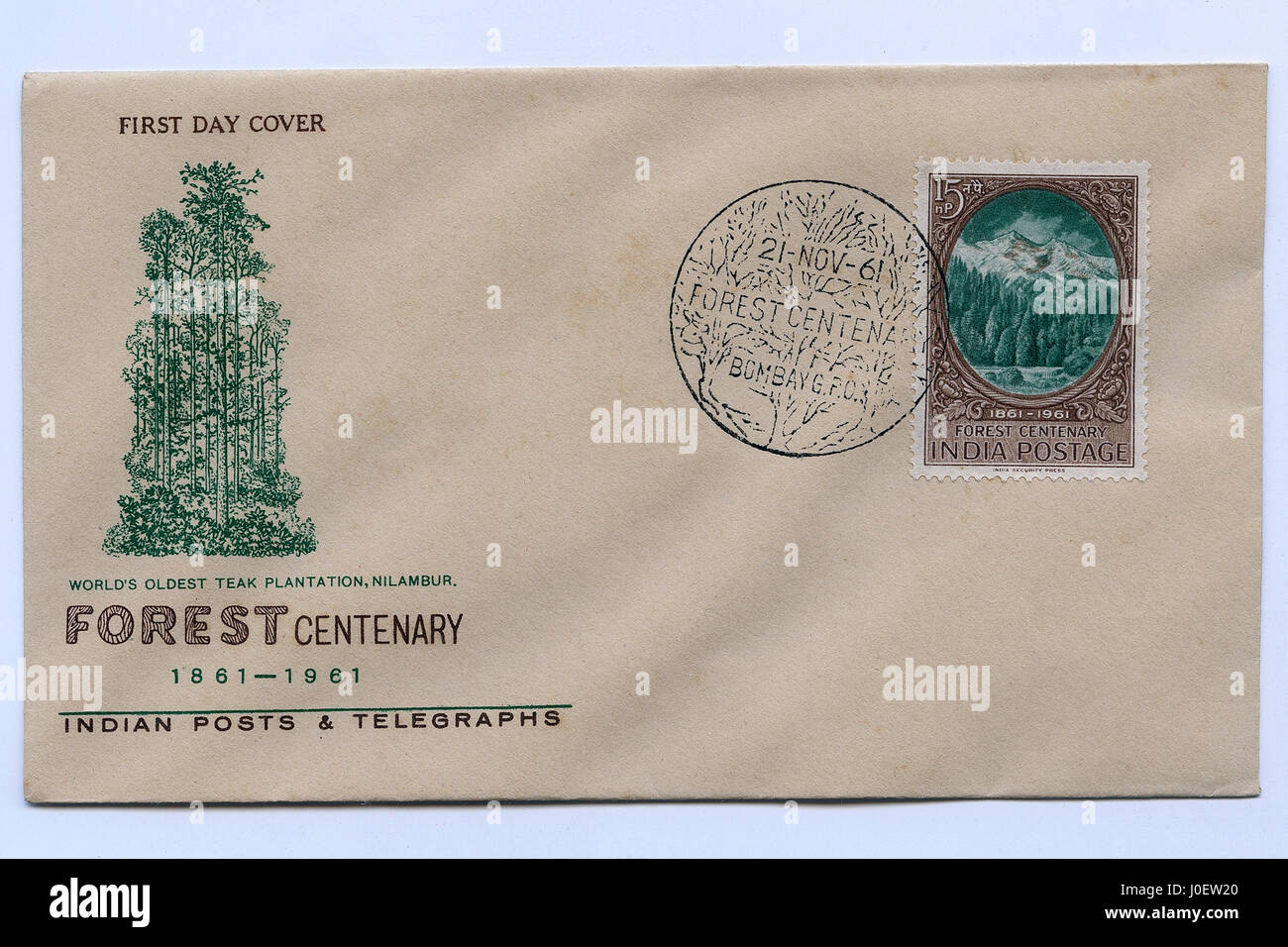 Premier jour couvert de forêt centenaire, l'Inde, l'Asie Banque D'Images