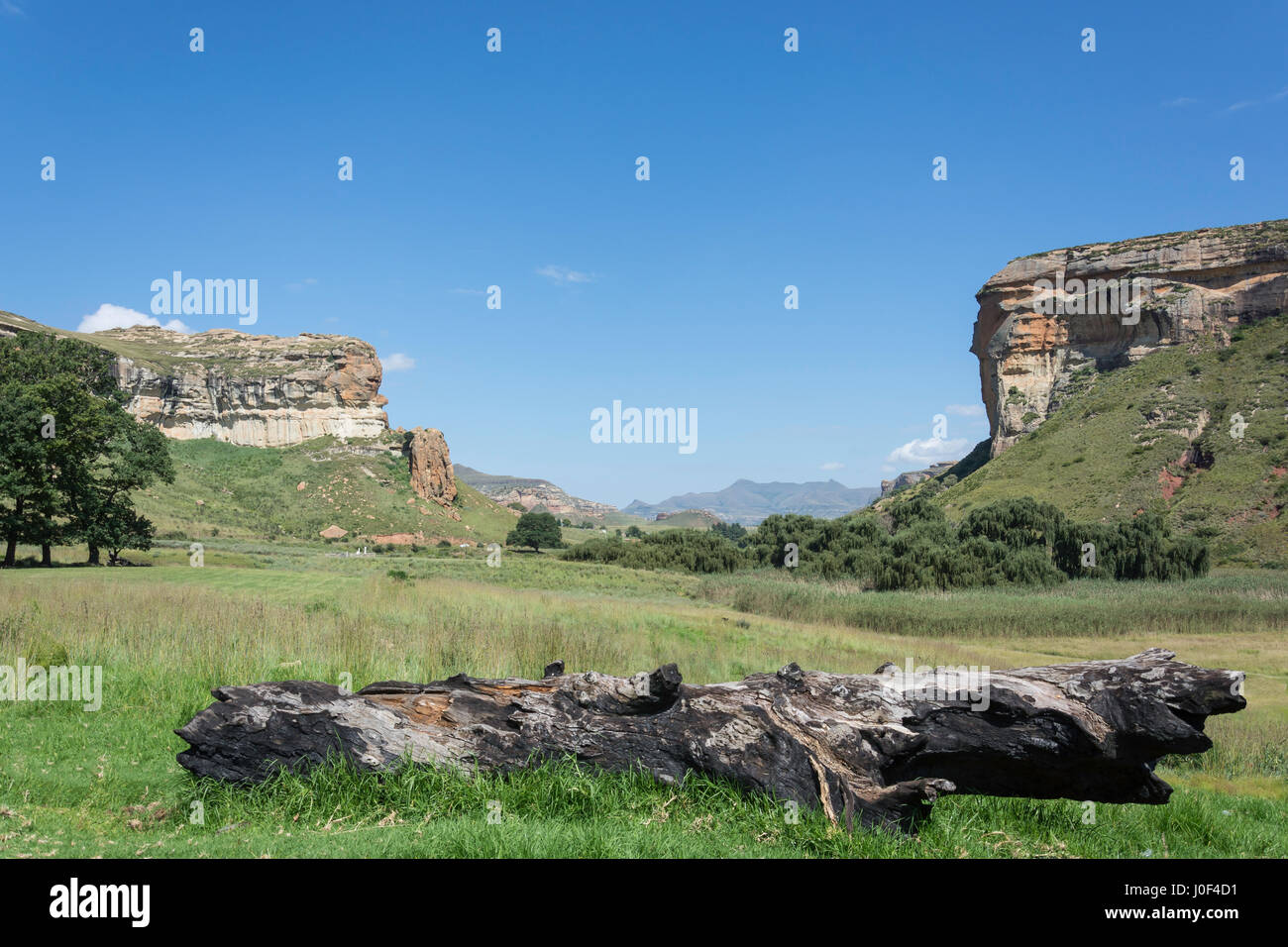 Contrefort Brandwag, Golden Gate Highlands National Park, la Province de l'État libre, République d'Afrique du Sud Banque D'Images