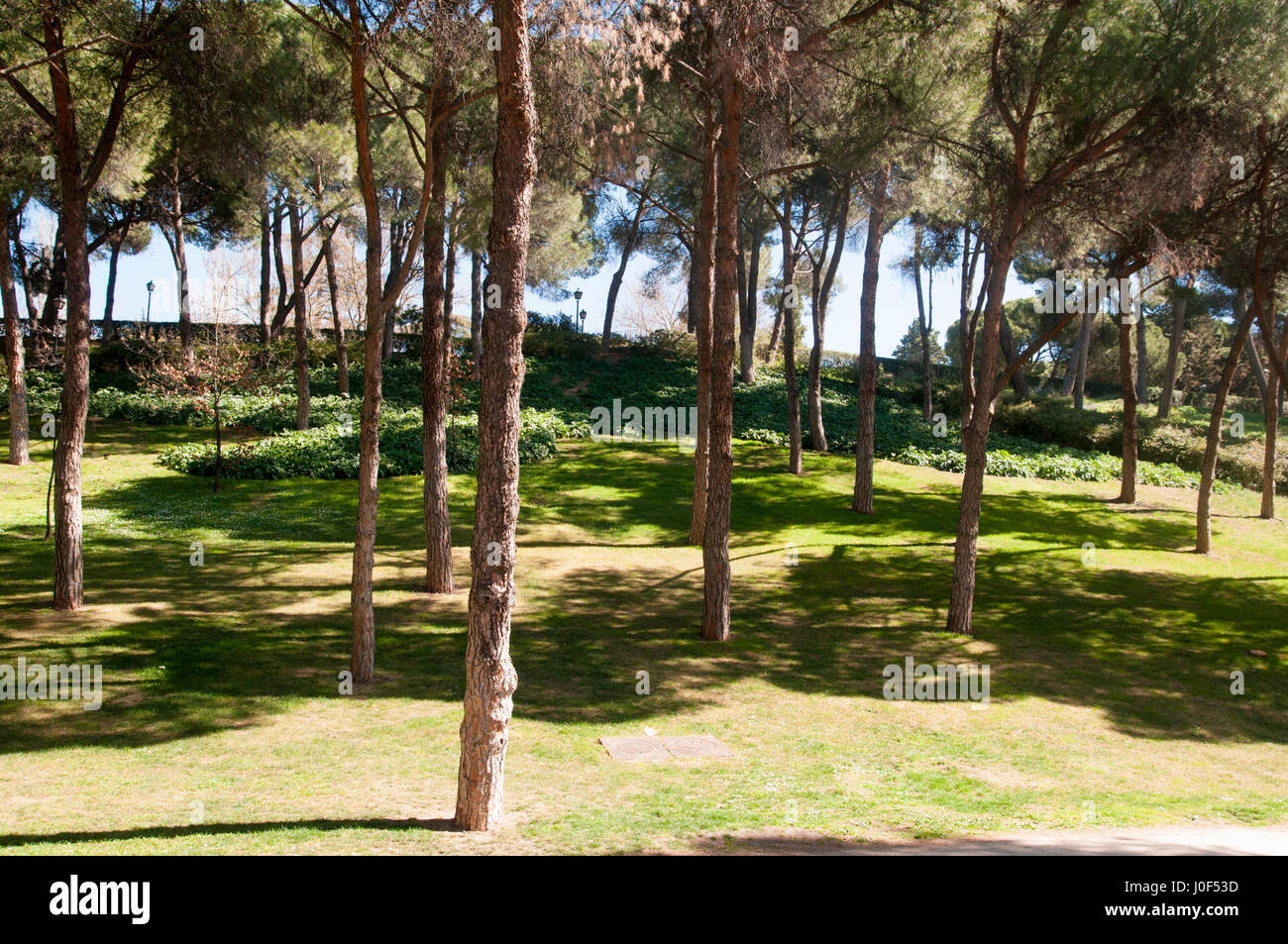 Parque del Oeste, Madrid, Espagne Banque D'Images