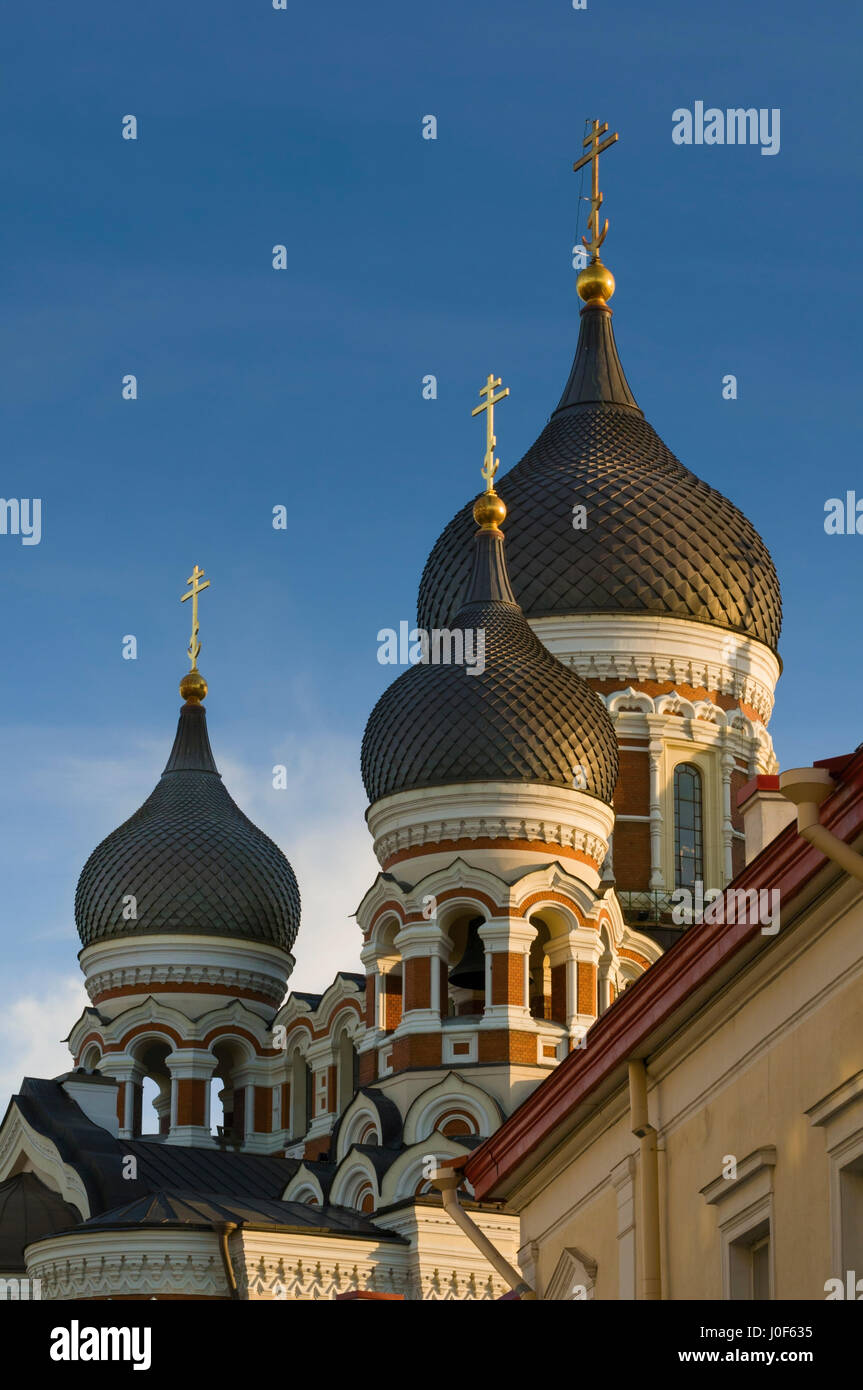 Cathédrale Alexandre Nevski Estonie Tallinn Toompea Banque D'Images