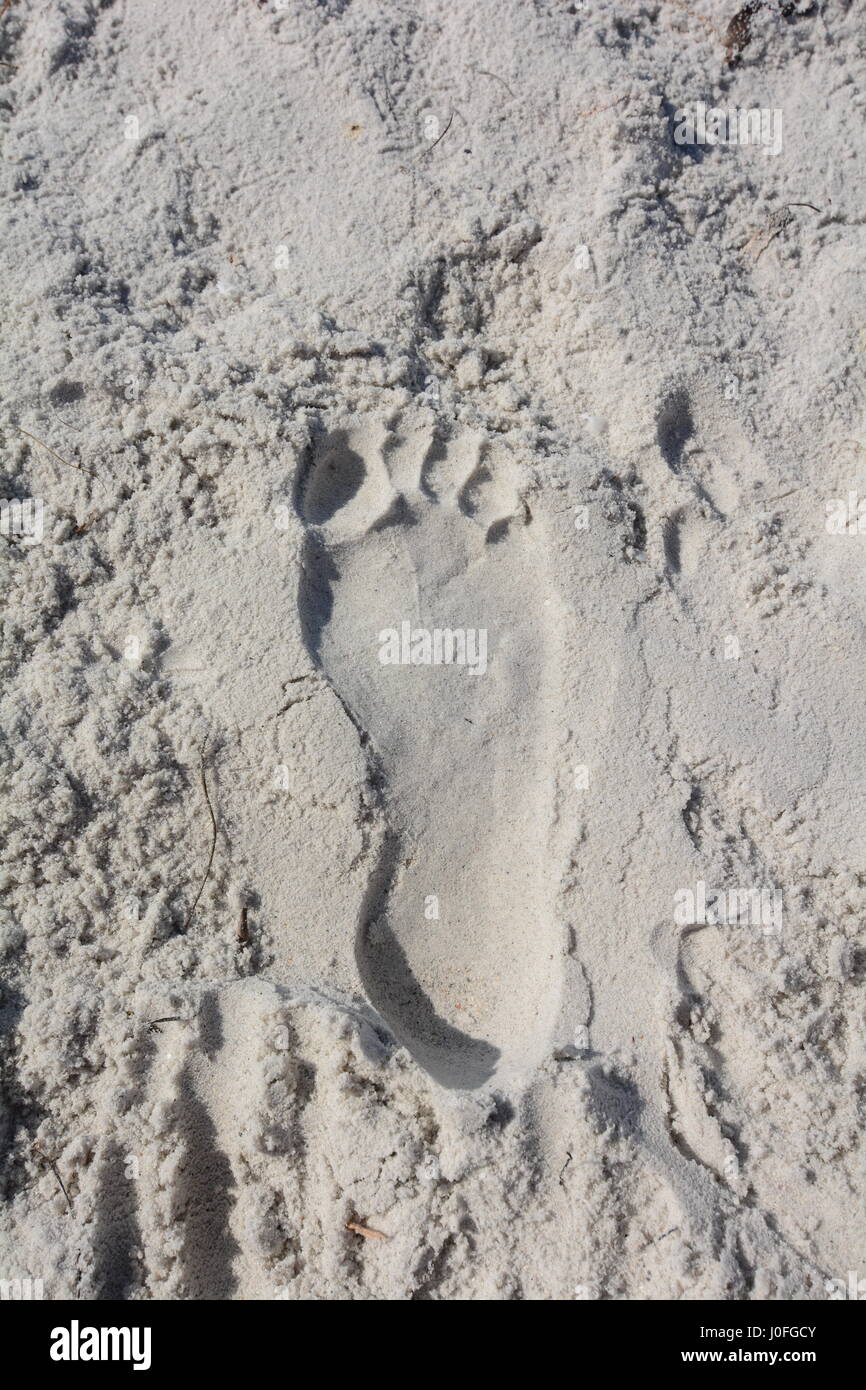 Imprimer des pieds dans le sable Banque D'Images