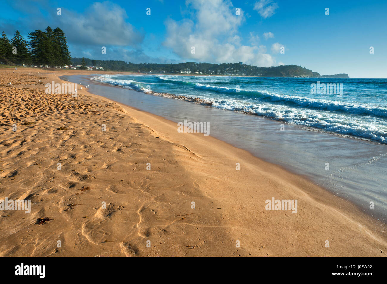 Avoca Beach sur la côte centrale de l'Australie. Banque D'Images