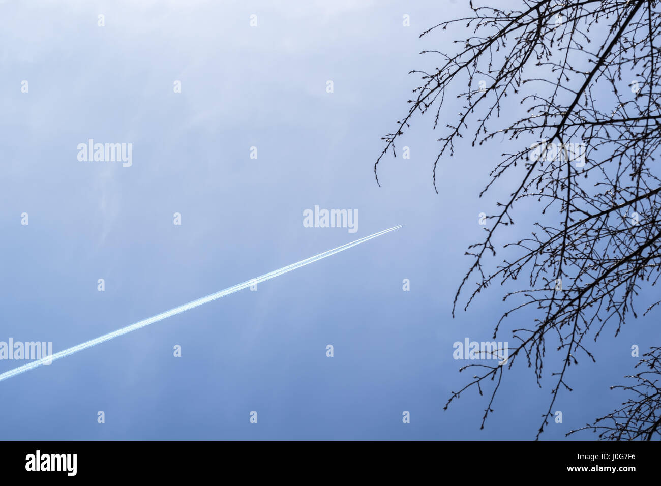 Photo Dun Avion Dans Le Ciel Avec Des Branches Jet d'avion dans le ciel bleu avec des traces de condensation contre ciel  bleu clair et des branches d'arbre Photo Stock - Alamy