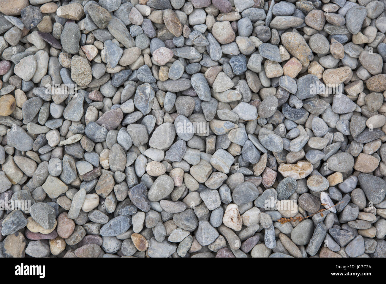 Les pierres de couleur le long de l'étang à l'eau jardin au Jardin botanique de Brooklyn à Brooklyn, New York. Banque D'Images