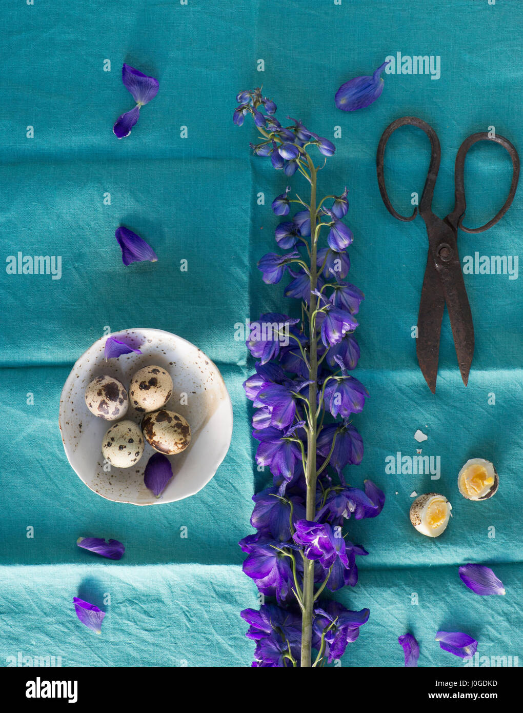 Still Life sur tissu bleu sarcelle avec des oeufs de cailles Banque D'Images