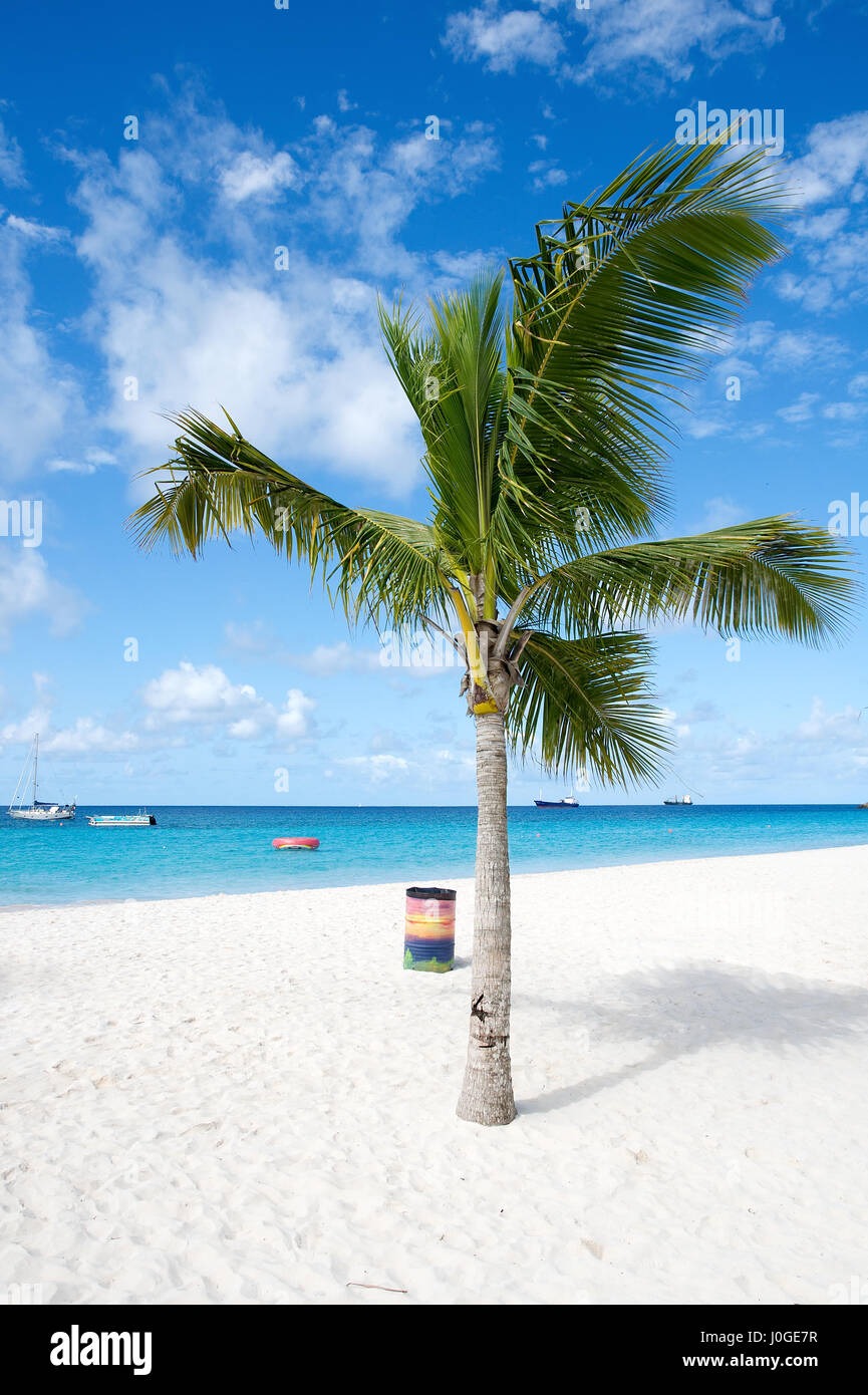 Bridgetown, Barbade - Tropical Island - mer des Caraïbes - plage de Brownes - Carlisle Bay Banque D'Images