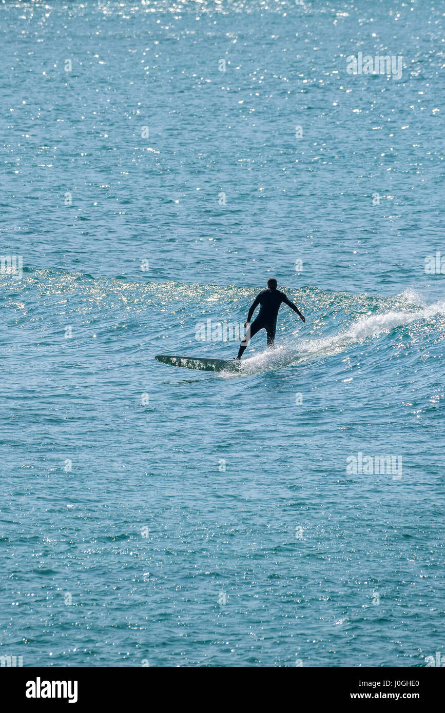 Mer Surf Longboard internaute UK passe-temps de l'eau équilibre l'activité de loisirs Newquay Cornwall Banque D'Images