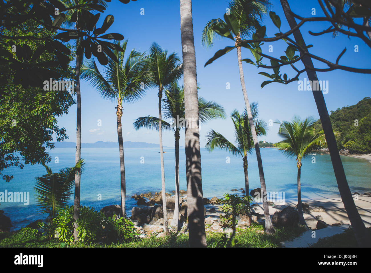 Vue sur la plage privée avec des palmiers sur une chaude journée Banque D'Images