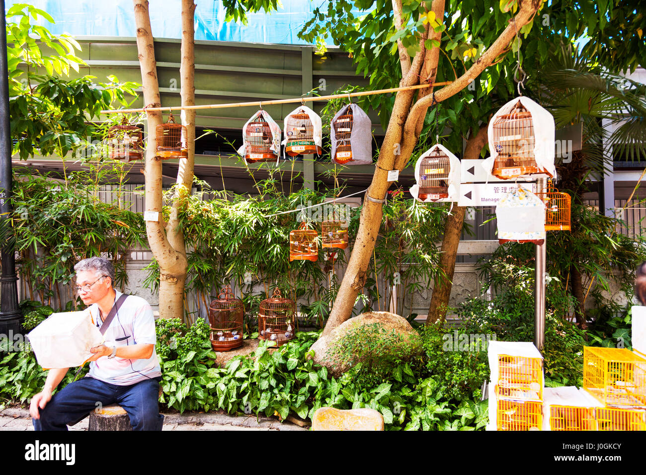 Kowloon Hong Kong Sur Le Jardin Doiseaux Yuen Po Street