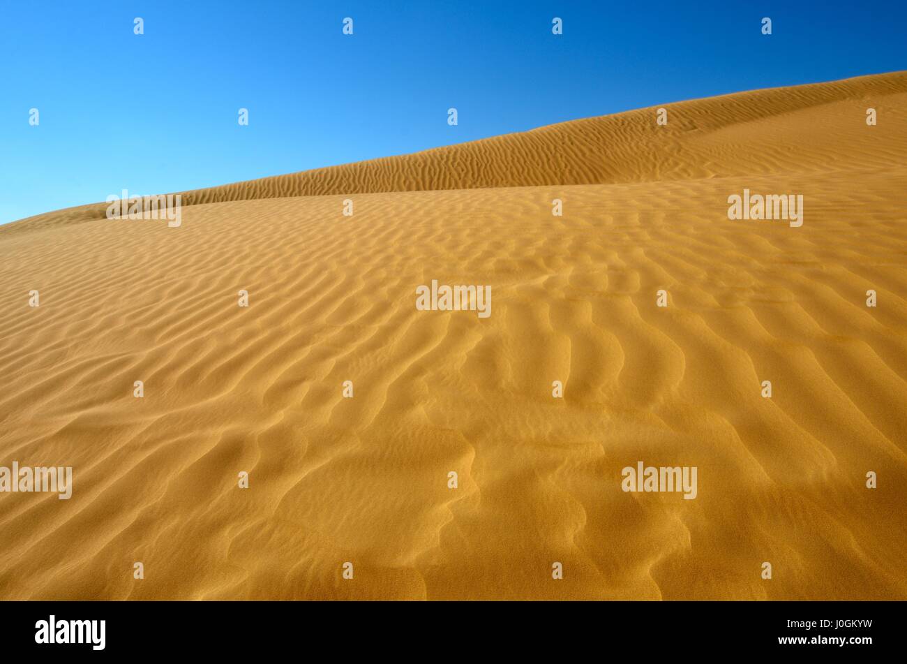 Rippled sand dunes sous le ciel bleu, le sud du désert du Néguev, en Israël. Banque D'Images