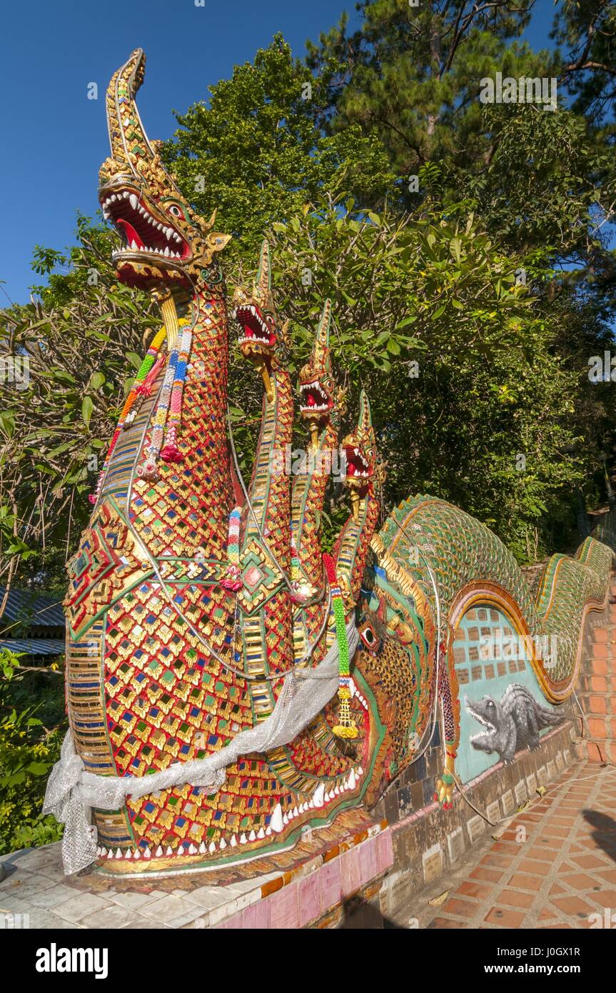 Détail de la naga qui gardaient la tête sept étapes pour 300 Wat Phrathat Doi Suthep, Chiang Mai , Thaïlande. Banque D'Images