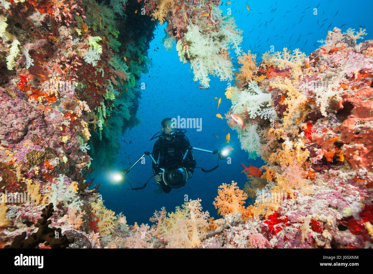 Plongée sous marine sur les récifs coralliens, atoll de Felidhu, Maldives Banque D'Images