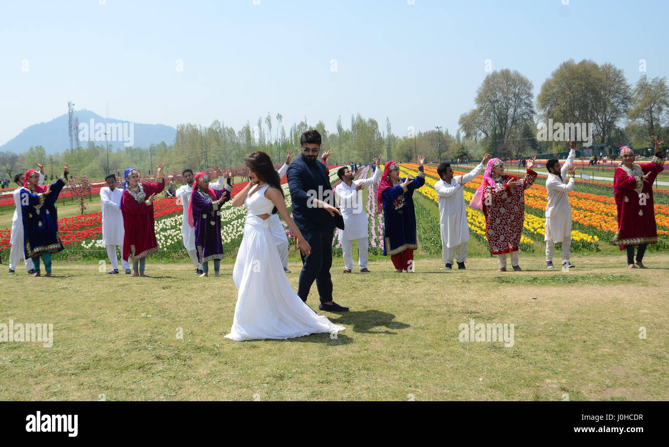 Srinagar, Cachemire indien:14.Avril.Bollywood Stars, Babar et Gatkar Arayan Sumita tir une chanson pour leur prochain film hain Tujay Salm Inde Dans Tulip Garden Srinagar.©Sofi Suhail/Alamy Live News Banque D'Images