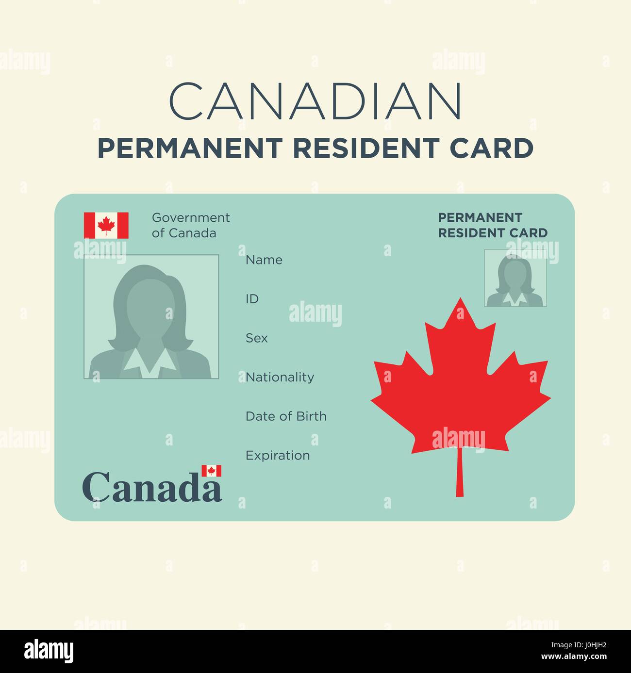 Carte de résident permanent canadien - l'immigration Illustration de Vecteur