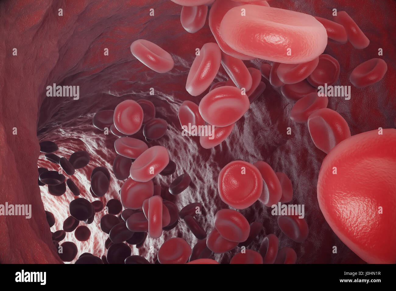Dans les cellules rouges du sang, de l'artère à l'intérieur du corps, les soins de santé médical concept, 3D Rendering Banque D'Images